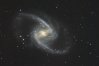 NGC 1365 - aufgenommen mit dem 20&quot; Liebscher Cassegrain